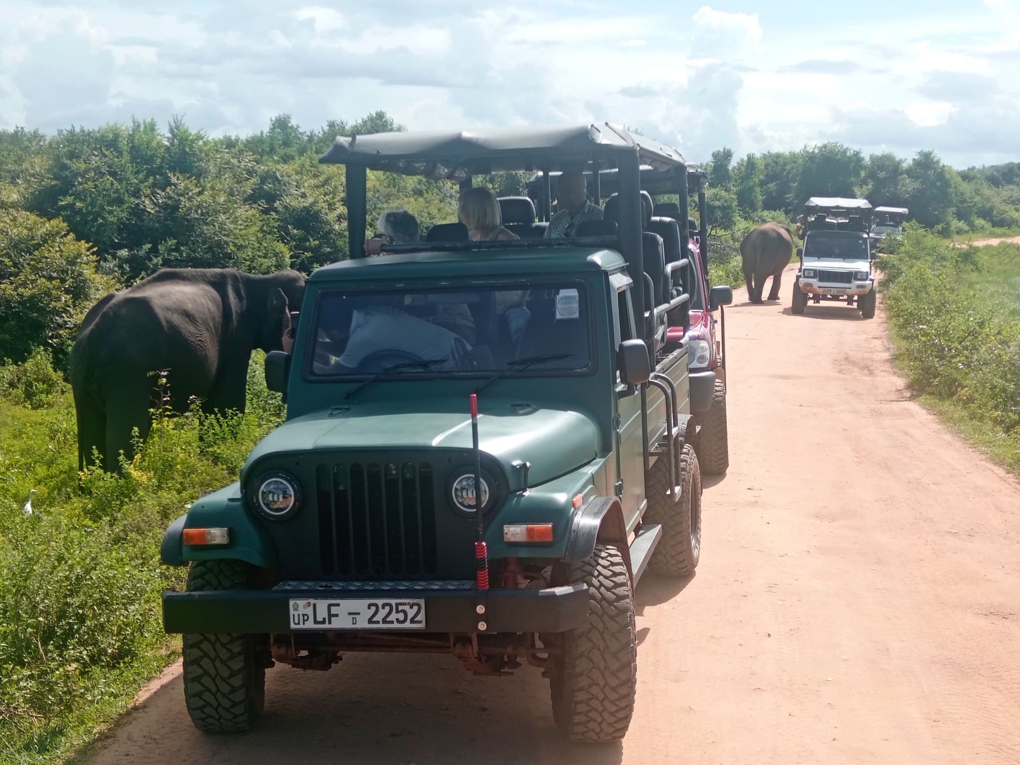 Wildlife Tour Moment in Sri Lanka